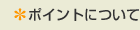 ポイントについて