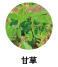 甘草
