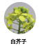 白芥子