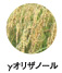 γオリザノール