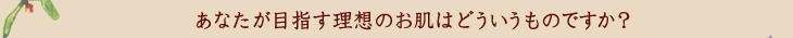 あなたが目指す理想のお肌はどういうものですか？