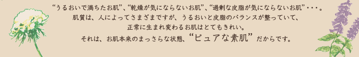 “うるおいで満ちたお肌”、“乾燥が気にならないお肌”、“過剰な皮脂が気にならないお肌”・・・。
肌質は、人によってさまざまですが、うるおいと皮脂のバランスが整っていて、 正常に生まれ変わるお肌はとてもきれい。
それは、お肌本来のまっさらな状態、“ピュアな素肌”だからです。 