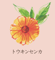 トウキンセンカ