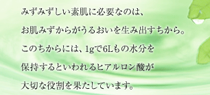 みずみずしい素肌に必要なのは、お肌みずからがうるおいを生み出すちから。このちからには、1gで6Lもの水分を保持するといわれるヒアルロン酸が大切な役割を果たしています。