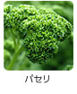 パセリ