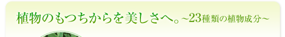 植物のもつちからを美しさへ。〜23種類の植物成分〜