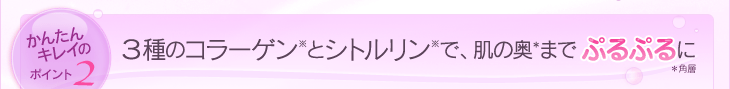 かんたんキレイのポイント2：３種のコラーゲンとシトルリンで、肌の奥（※角層）までぷるぷるに