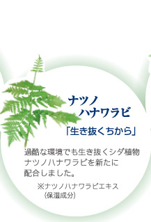 ナツノハナワラビ「生き抜くちから」  過酷な環境でも生き抜くシダ植物ナツノハナワラビを新たに配合しました。※ナツノハナワラビエキス（保湿成分）