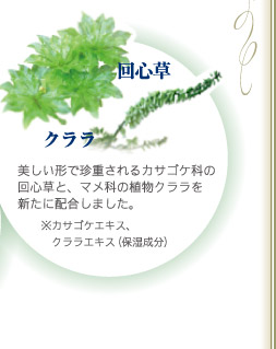 回心草・クララ  美しい形で珍重されるカサゴケ科の回心草と、マメ科の植物クララを新たに配合しました。※カサゴケエキス、クララエキス（保湿成分）