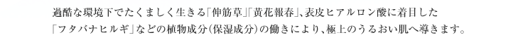 過酷な環境下でたくましく生きる｢伸筋草｣｢黄花報春｣、表皮ヒアルロン酸に着目した ｢フタバナヒルギ｣などの植物成分（保湿成分）の働きにより、極上のうるおい肌へ導きます。