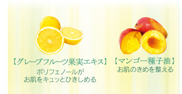 グレープフルーツ果実エキス：ポリフェノールがお肌をキュッとひきしめる  マンゴー種子油：お肌のきめを整える