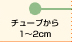 チューブから1～2cm