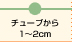 チューブから1～2cm