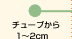チューブから1～2cm