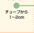 チューブから1～2cm