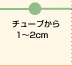 チューブから1～2cm