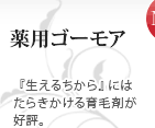 薬用ゴーモア 『生えるちから』にはたらきかける育毛剤が好評。