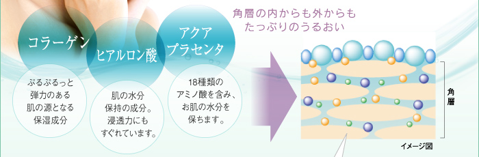 角層の内からも外からもたっぷりのうるおい