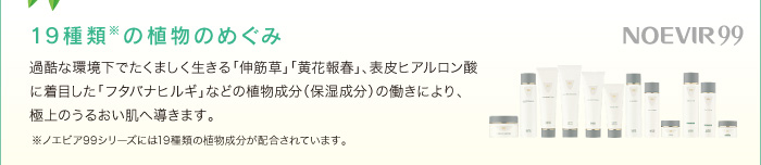 19種類※の植物のめぐみ