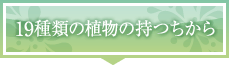 19種類の植物の持つちから