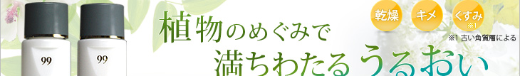 植物の恵みで満ちわたるうるおい