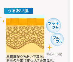 うるおい肌