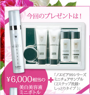 今回のプレゼントは