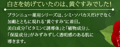 白さを妨げていたのは、黄ぐすみでした！