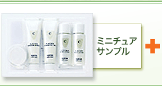 ミニチュアサンプル