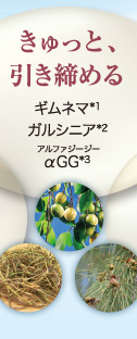 きゅっと、引き締める ギムネマ*1、ガルシニア*2、αGG*3