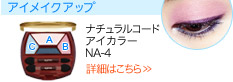 ナチュラルコード  アイカラー NA-4