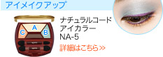 ナチュラルコード アイカラー NA-5