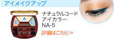 ナチュラルコード アイカラー NA-5