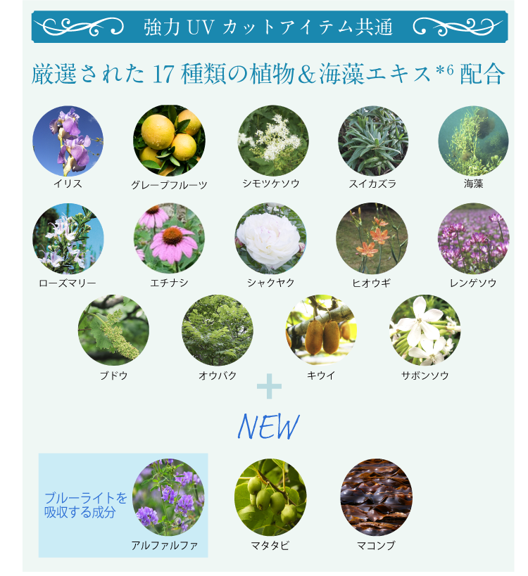 17種類の植物＆海藻