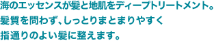 海のエッセンスが髪と地肌をディープトリートメント。髪質を問わず、しっとりまとまりやすく指通りのよい髪に整えます。