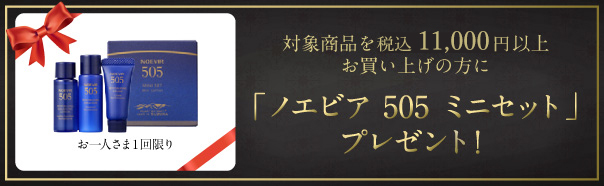 505ミニセットプレゼント