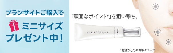 ブランサイトプレゼント