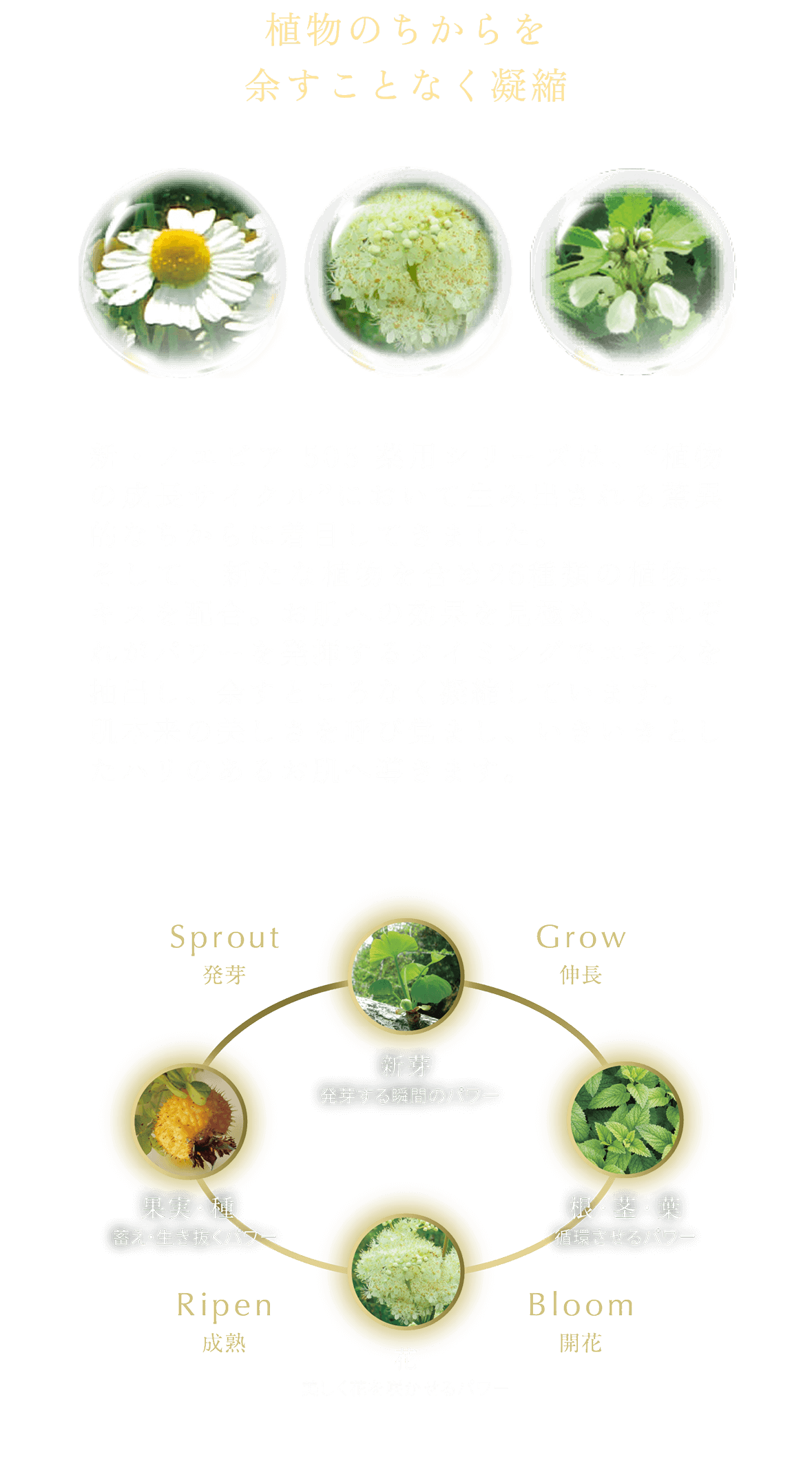 植物のちからを余すことなく凝縮。新・ノエビア 505薬用シリーズは、“植物の成長サイクル”において生み出される驚異的なちからに着目してきました。そして、新たな植物を含め26種類の植物エキスを配合。それぞれのパワーをお肌へ効果的に発揮できるよう見極め、余すところなく凝縮しています。肌本来の美しさを呼び覚まし、いきいきとしたハリのあるお肌へ導きます。