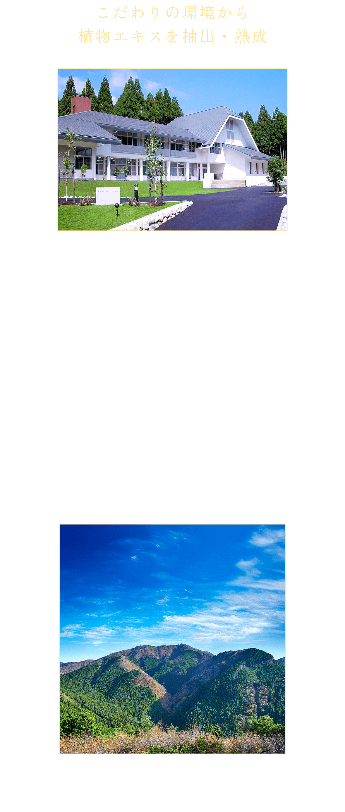 こだわりの環境から植物エキスを抽出・熟成。鈴鹿高山植物研究所では、北海道暑寒別岳の厳しい自然環境のもとで育まれた植物原料からオリジナルエキス*を抽出しています。そのエキスを、独自の熟成技術・工程により、時間をかけてじっくりと精製することで、不要な成分の一部を取り除き、植物由来の特長を引き出しています。ノエビア 505 薬用シリーズには、「メドウスイートエキス」「オドリコソウエキス」「カミツレエキス」の熟成エキスを配合しています。（全て保湿成分）