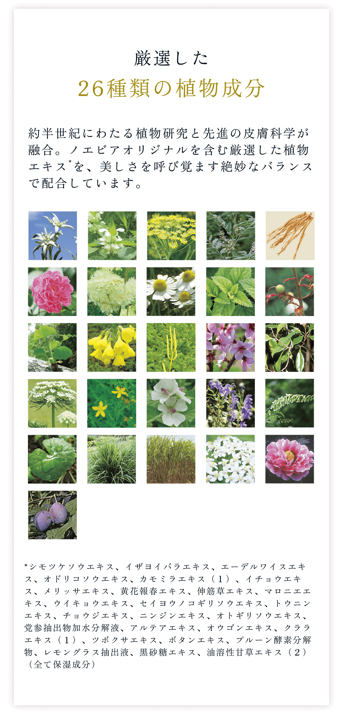 厳選した26種類の植物成分。約半世紀にわたる植物研究と先進の皮膚科学が融合。ノエビアオリジナルを含む厳選した植物エキス*を、美しさを呼び覚ます絶妙なバランスで配合しています。