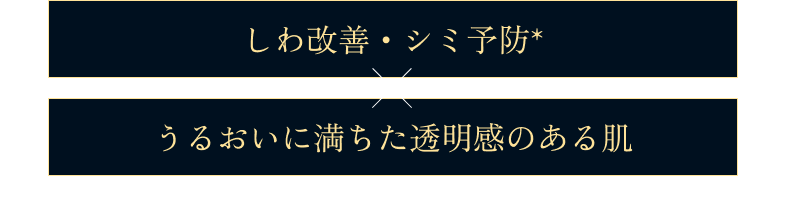 しわ改善・シミ予防（メラニンの生成を抑え、シミ・ソバカスを防ぐ）×うるおいに満ちた透明感のある肌