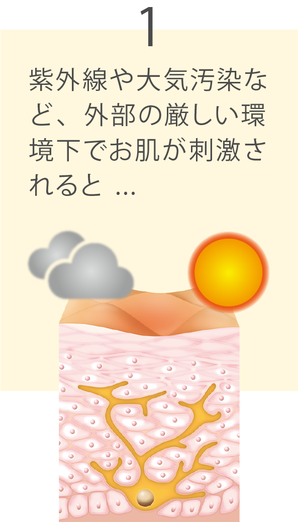 ノエビア　トゥブラン　3点セット【新品未使用】 ひんやりタッチワイドプルオーバー×パンツセットアップ 上下2点セット