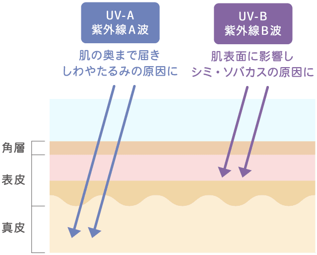 UV-A（紫外線A波）：肌の奥まで届きしわやたるみの原因に,UV-B（紫外線B波）：肌表面に炎症を起こしシミ・ソバカスの原因に