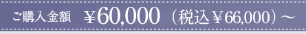 ご購入金額￥60,000（税込￥66,000）〜