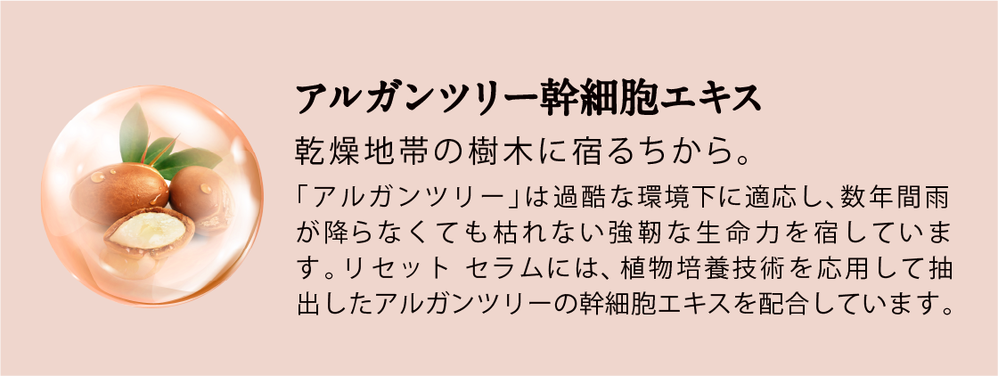 アルガンツリー幹細胞エキス